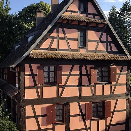 Maison Alsacienne Eschau Bagian luar foto